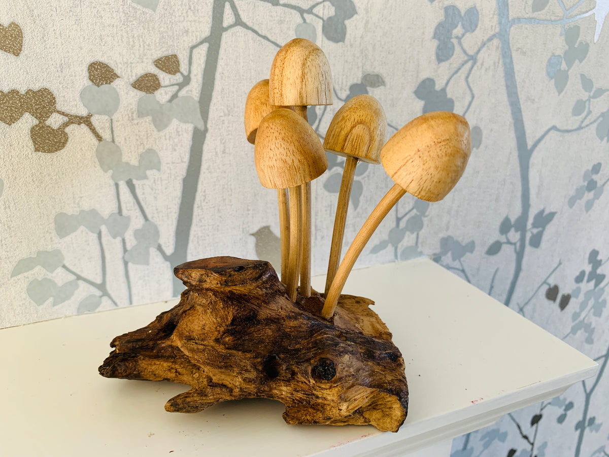 Mushrooms Toadstools Group of Five on Log Wood