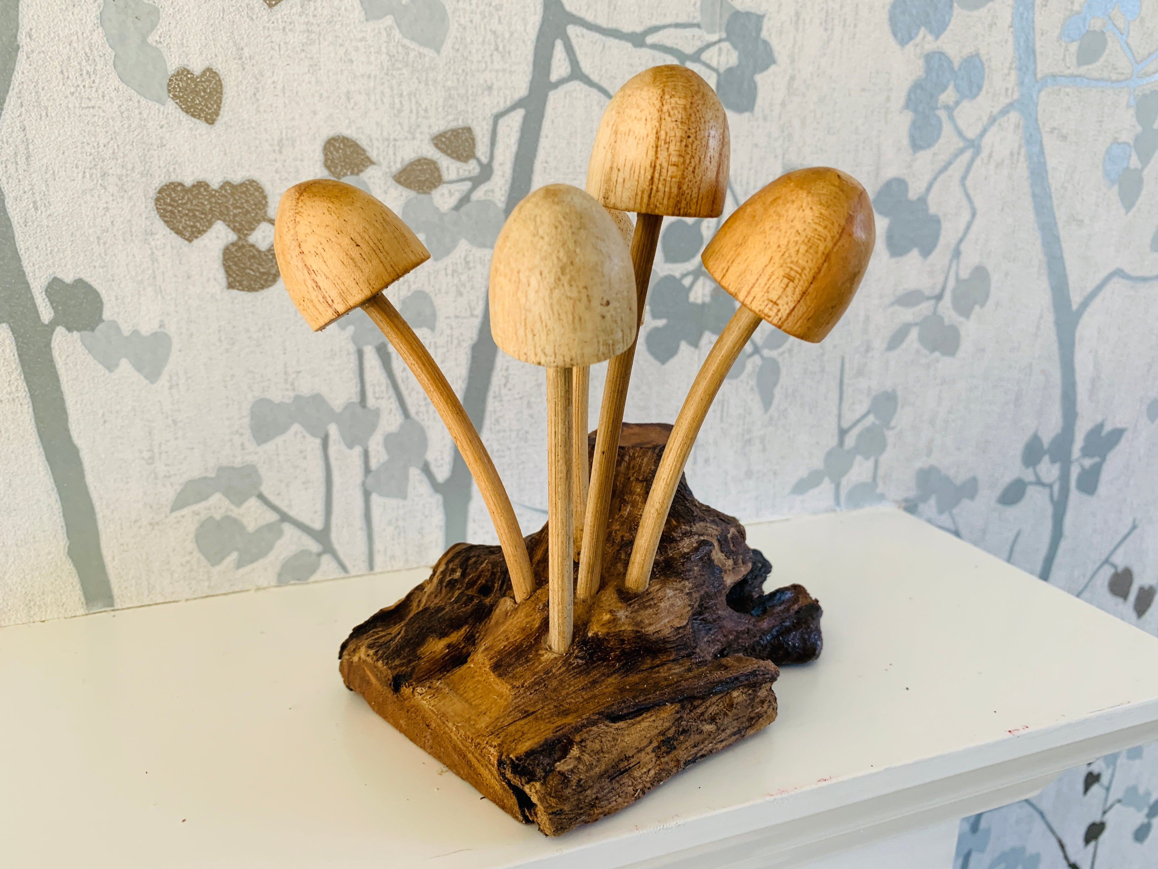 Mushrooms Toadstools Group of Five on Log Wood