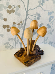 Mushrooms Toadstools Group of Five on Log Wood