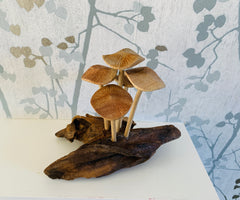 Mushrooms and Toadstool on Log