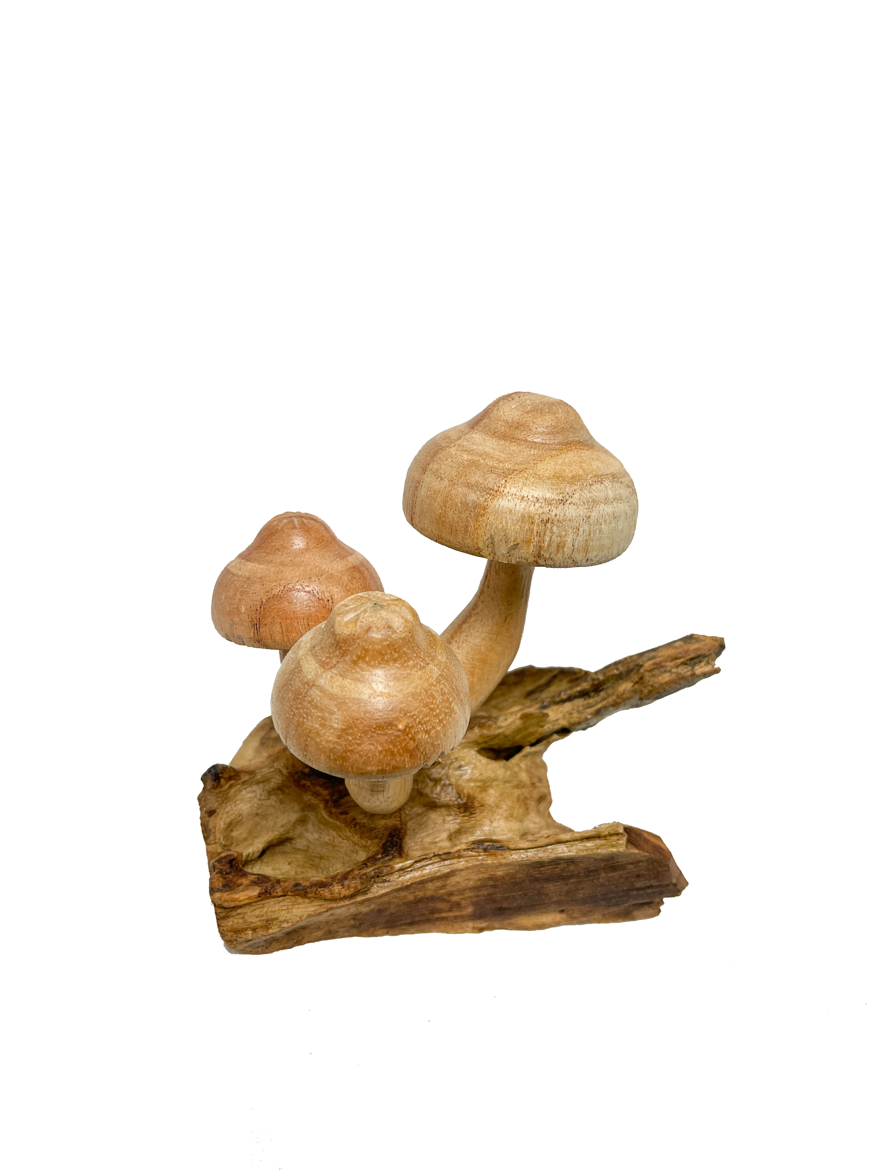 Wooden Carved Mushrooms x 3