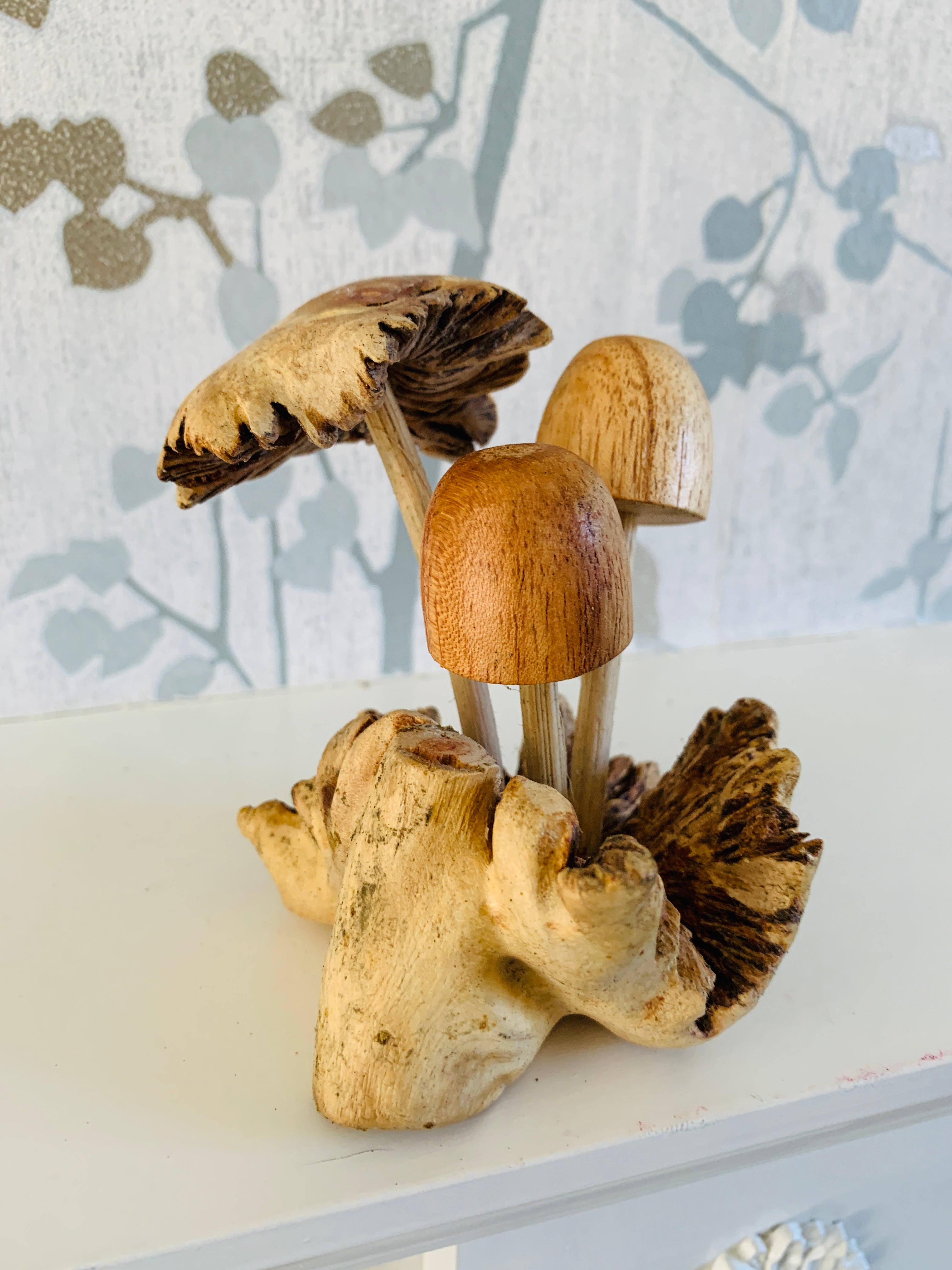 Parasite Wood with Three Assorted Mushroom Carvings