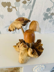 Parasite Wood with Three Assorted Mushroom Carvings