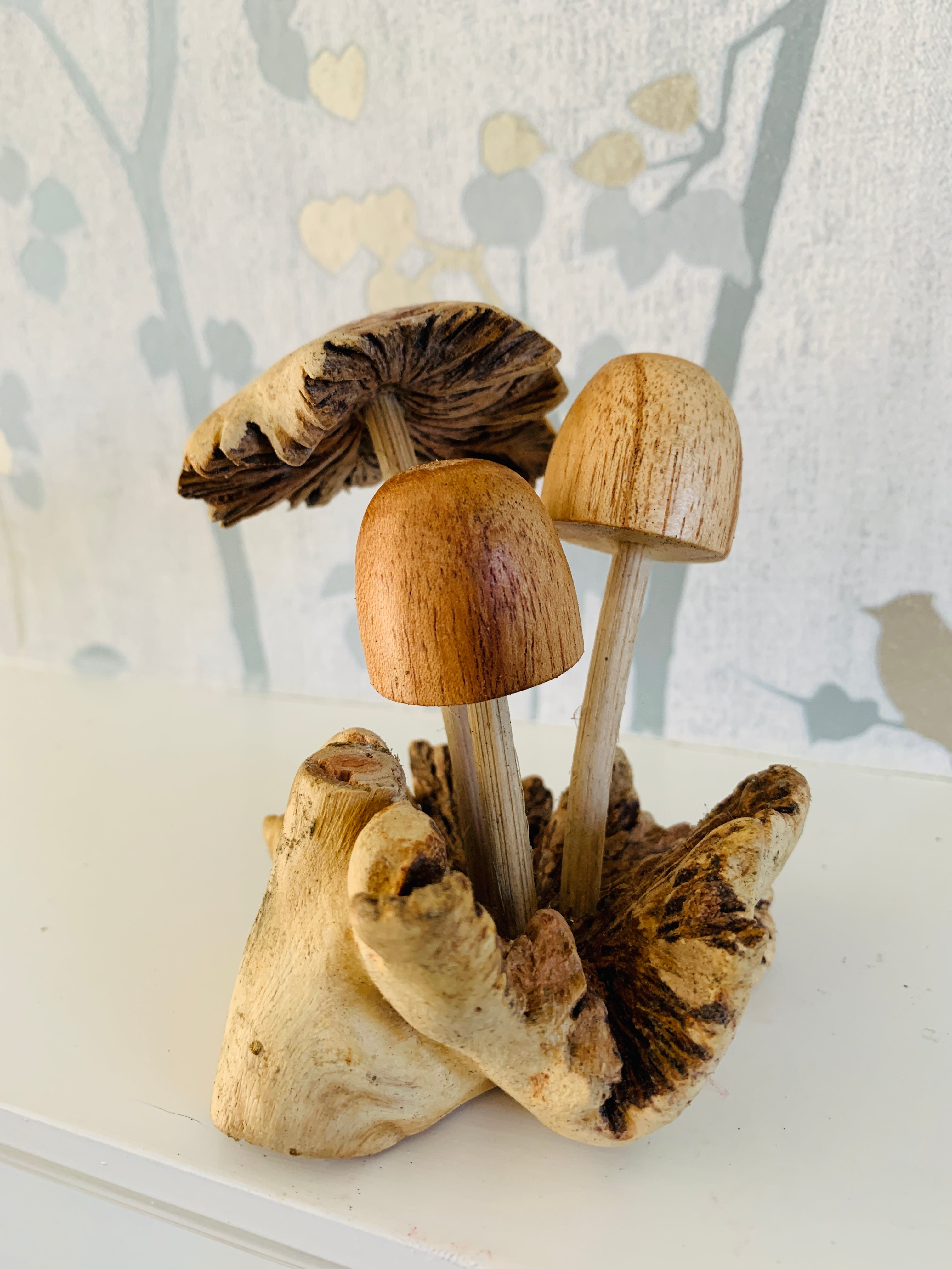 Parasite Wood with Three Assorted Mushroom Carvings