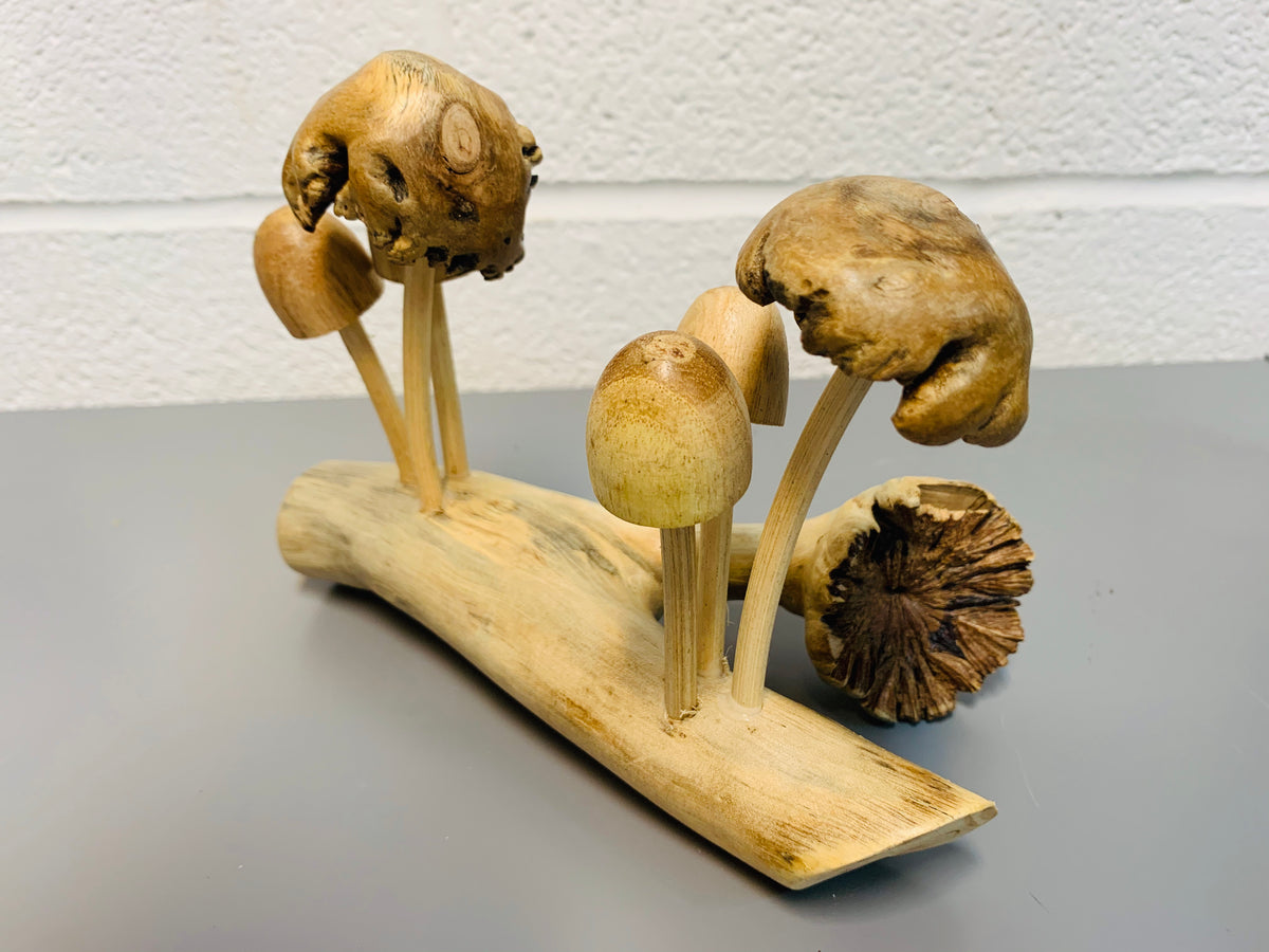 Mushrooms Group of Six Wood Carving