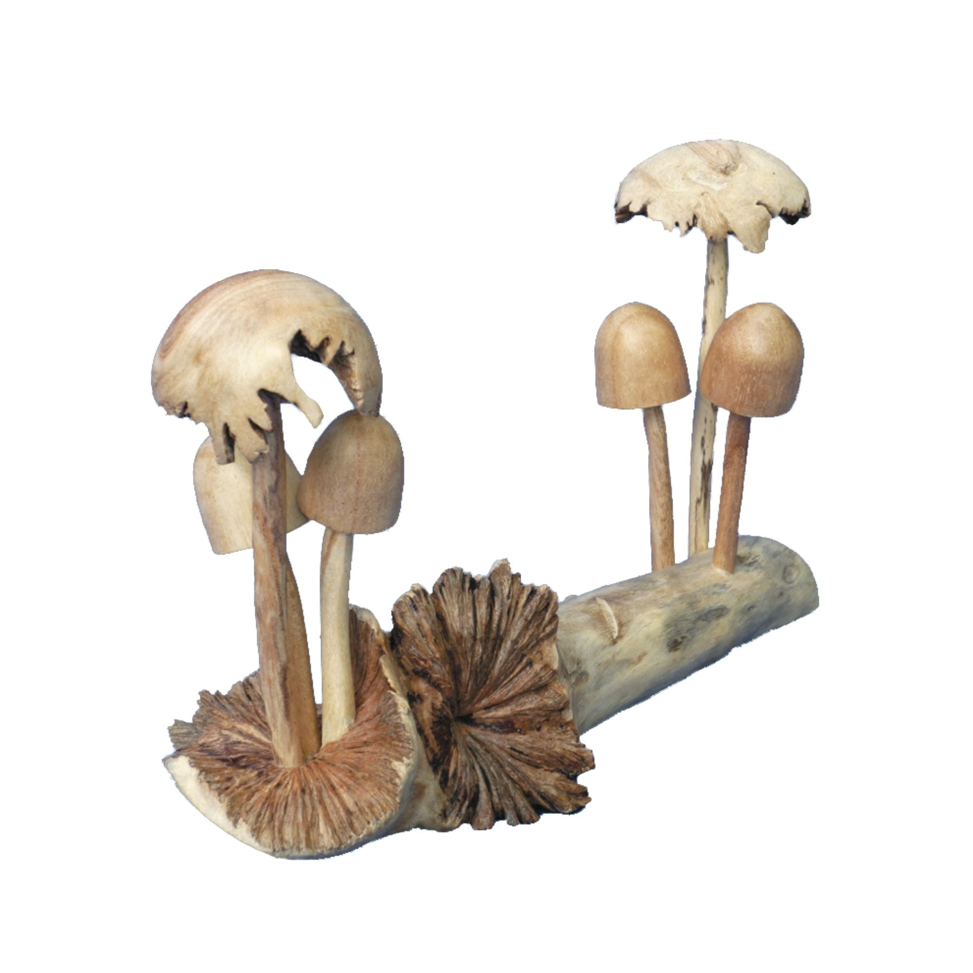 Mushrooms Group of Six Wood Carving