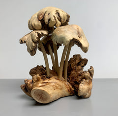 Mushrooms Group of Five Wood Carving