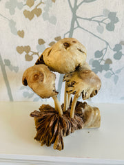 Mushrooms Group of Five Wood Carving