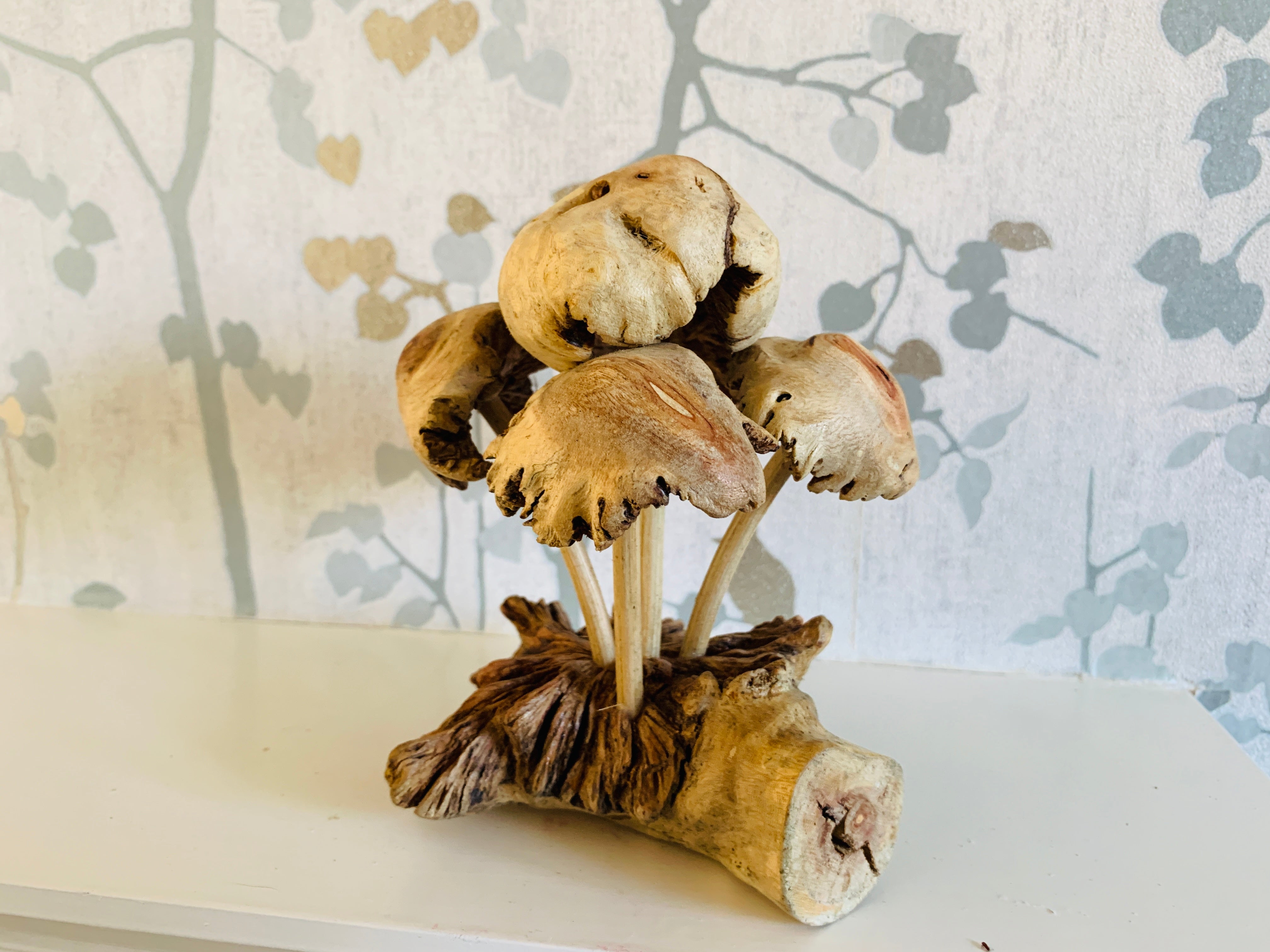 Mushrooms Group of Five Wood Carving