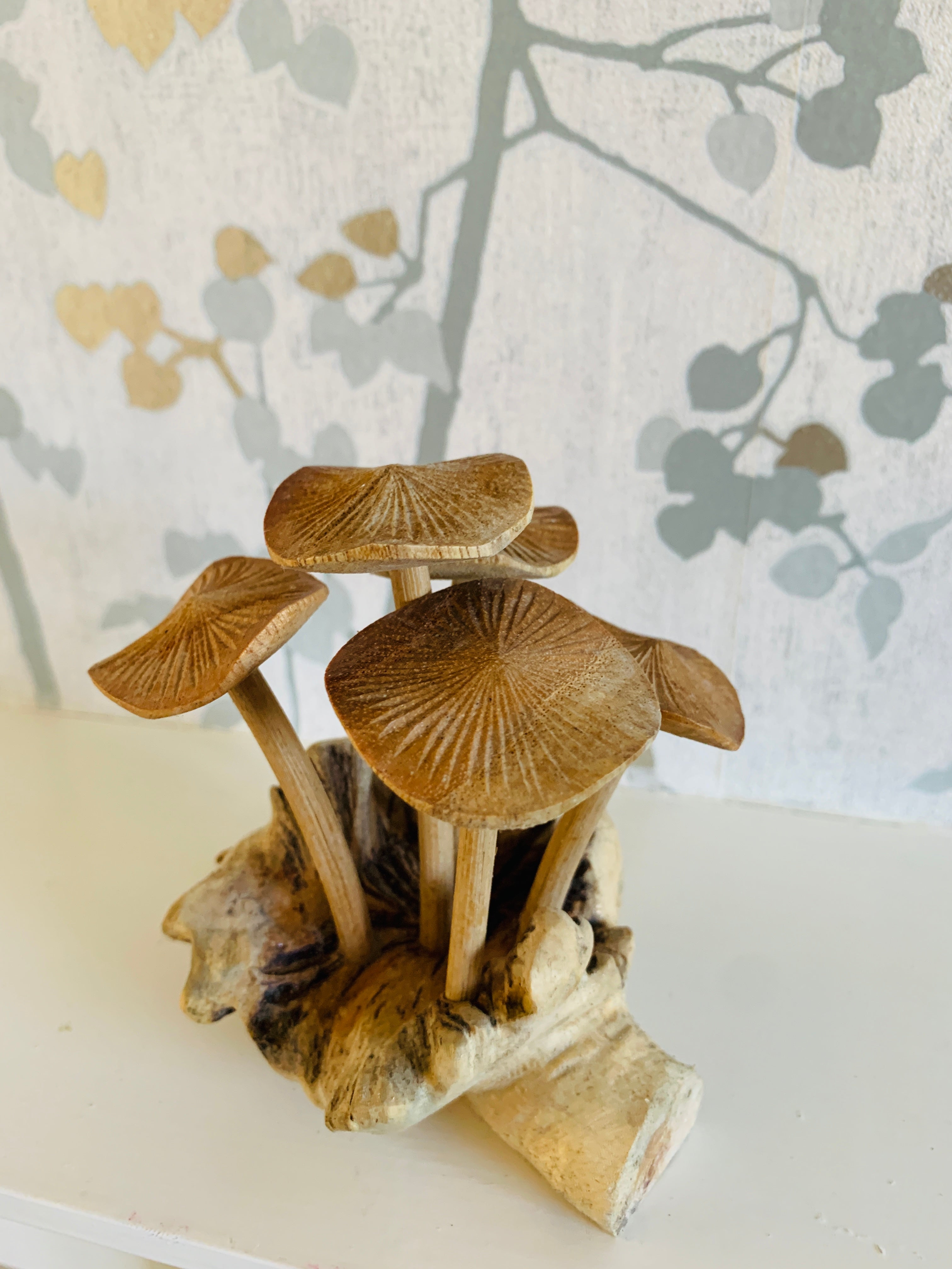 Mushrooms Group of Five Mushrooms Wood Carving