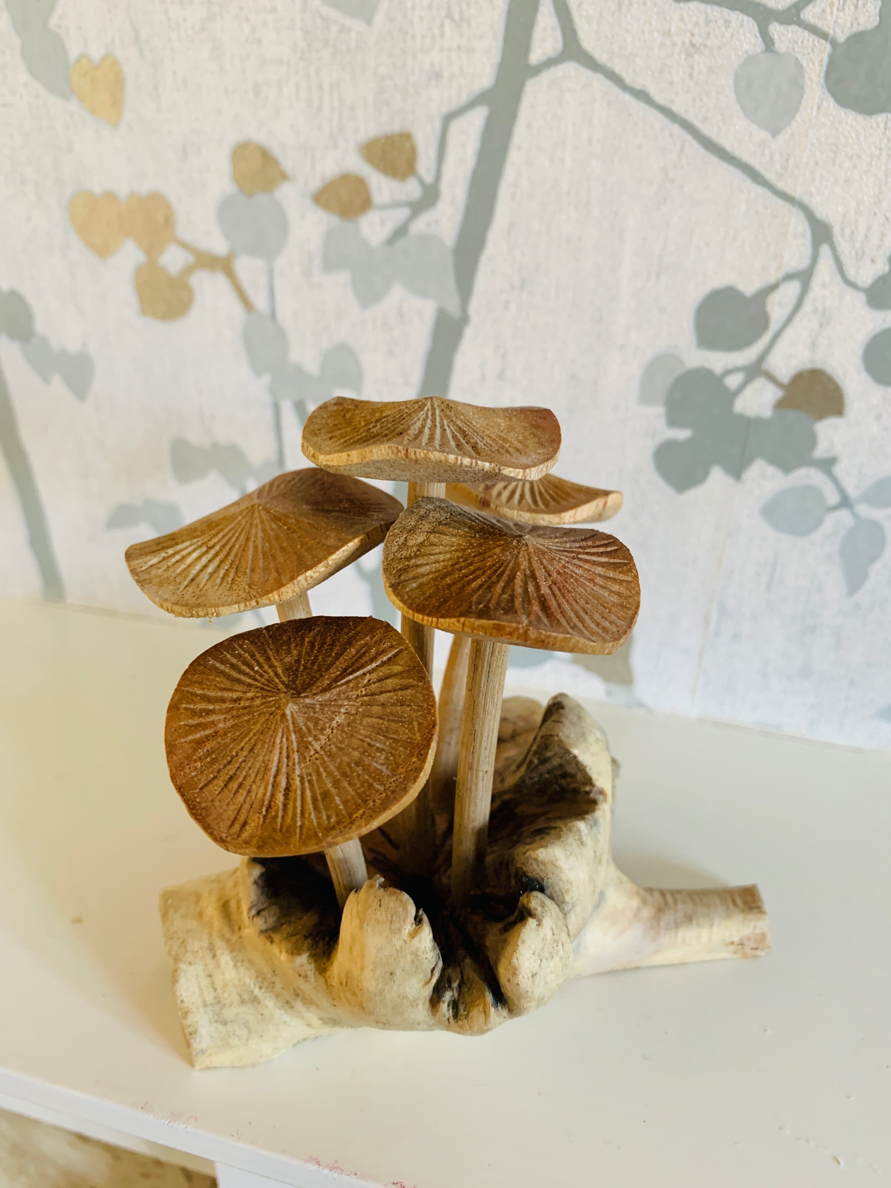 Mushrooms Group of Five Mushrooms Wood Carving