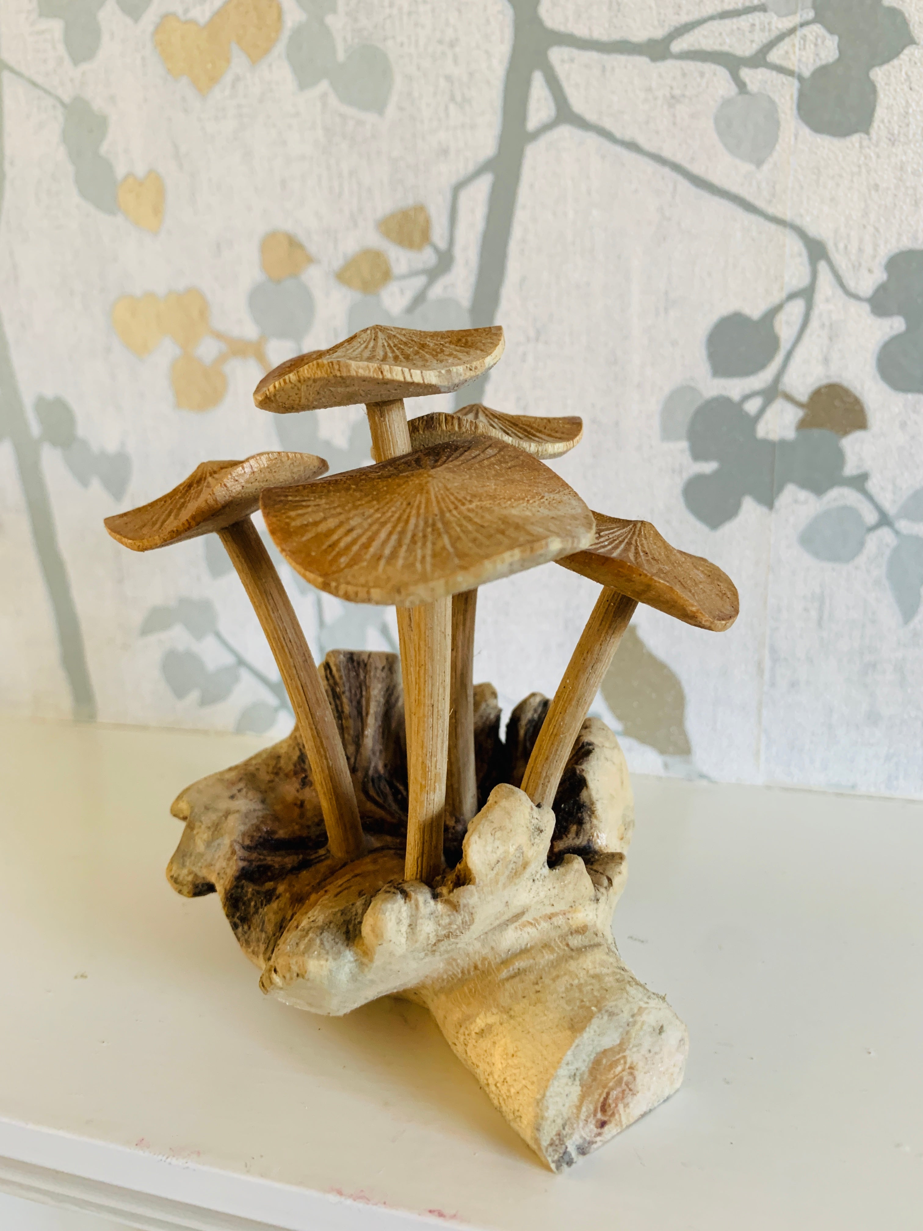 Mushrooms Group of Five Mushrooms Wood Carving