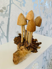 Mushrooms Group of Five on Log Wood Carving Fair Trade