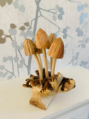 Mushrooms Group of Five on Log Wood Carving Fair Trade