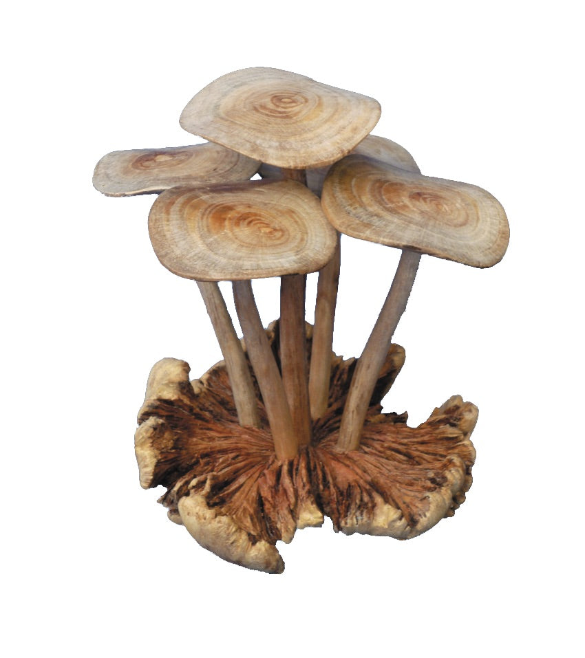 Mushrooms Group of Five Mushrooms Wood Carving